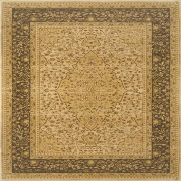Home Dynamix Antiqua Collection Brown/Cream 7'8 by 10'2 Area Rug Home Dynamix Antiqua Collection Brown/Cream 7'8 by 10'2 Area Rug